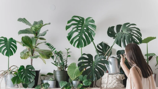 Projetar Interiores